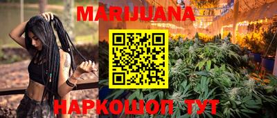 сатива Бийск