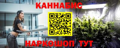 сатива Бийск