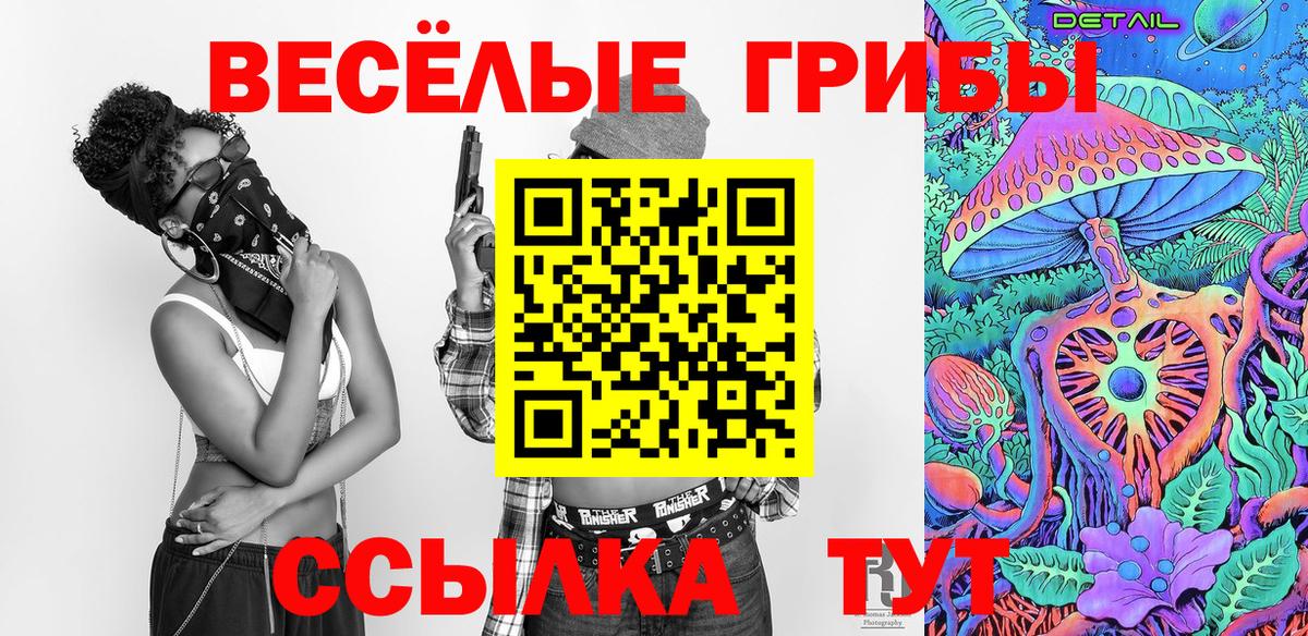 Псилоцибиновые грибы GOLDEN TEACHER Кимры
