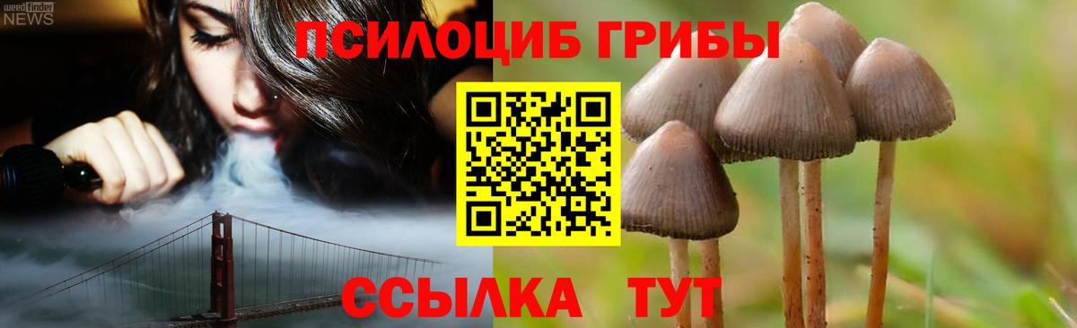Псилоцибиновые грибы Magic Shrooms  Вход с VPN  Кимры 